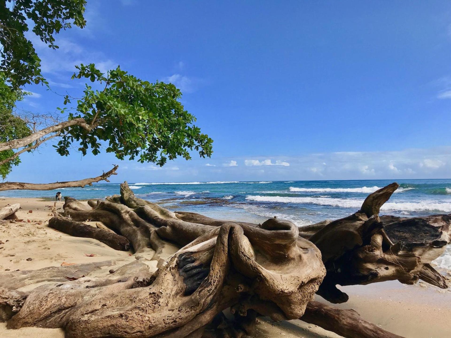 Caribbean Comfort Puerto Viejo de Talamanca 外观 照片